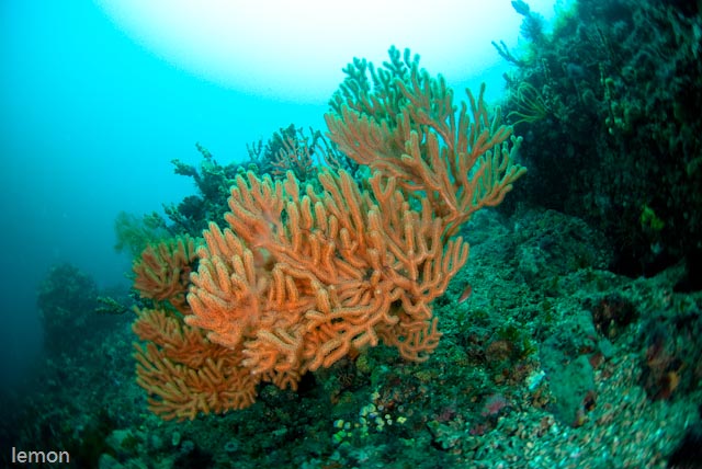 f0221418_1415971.jpg