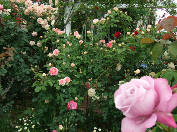 b0132024_10145757.jpg