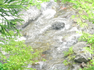 f0032125_22592998.jpg
