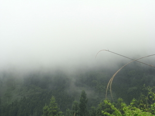 f0032125_2303333.jpg