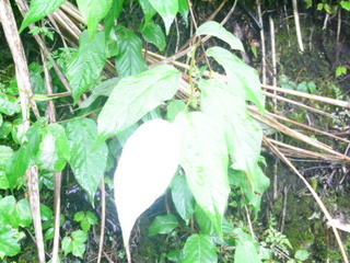 f0032125_2311212.jpg