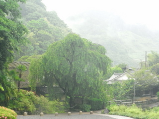 f0032125_2312047.jpg