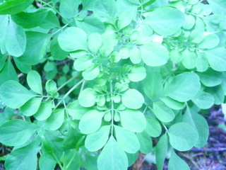 f0032125_2313135.jpg