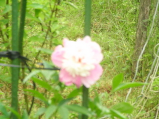 f0032125_2315870.jpg