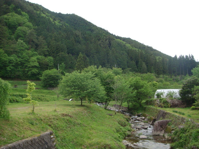 f0202529_1324895.jpg