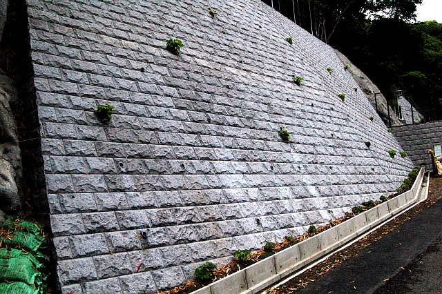 e0107030_93348.jpg