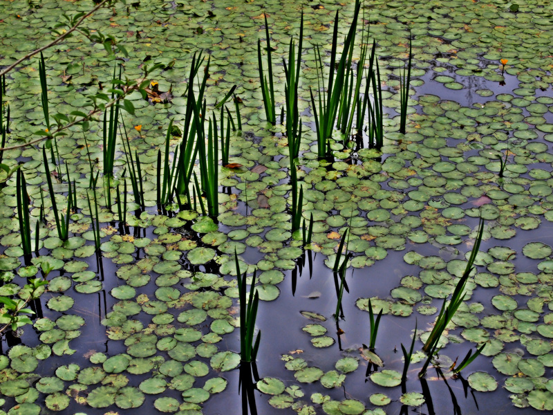 e0016732_034498.jpg