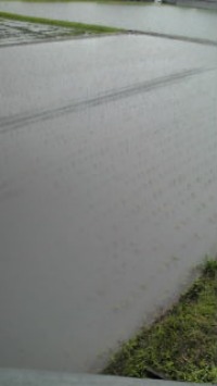 f0142733_212813.jpg