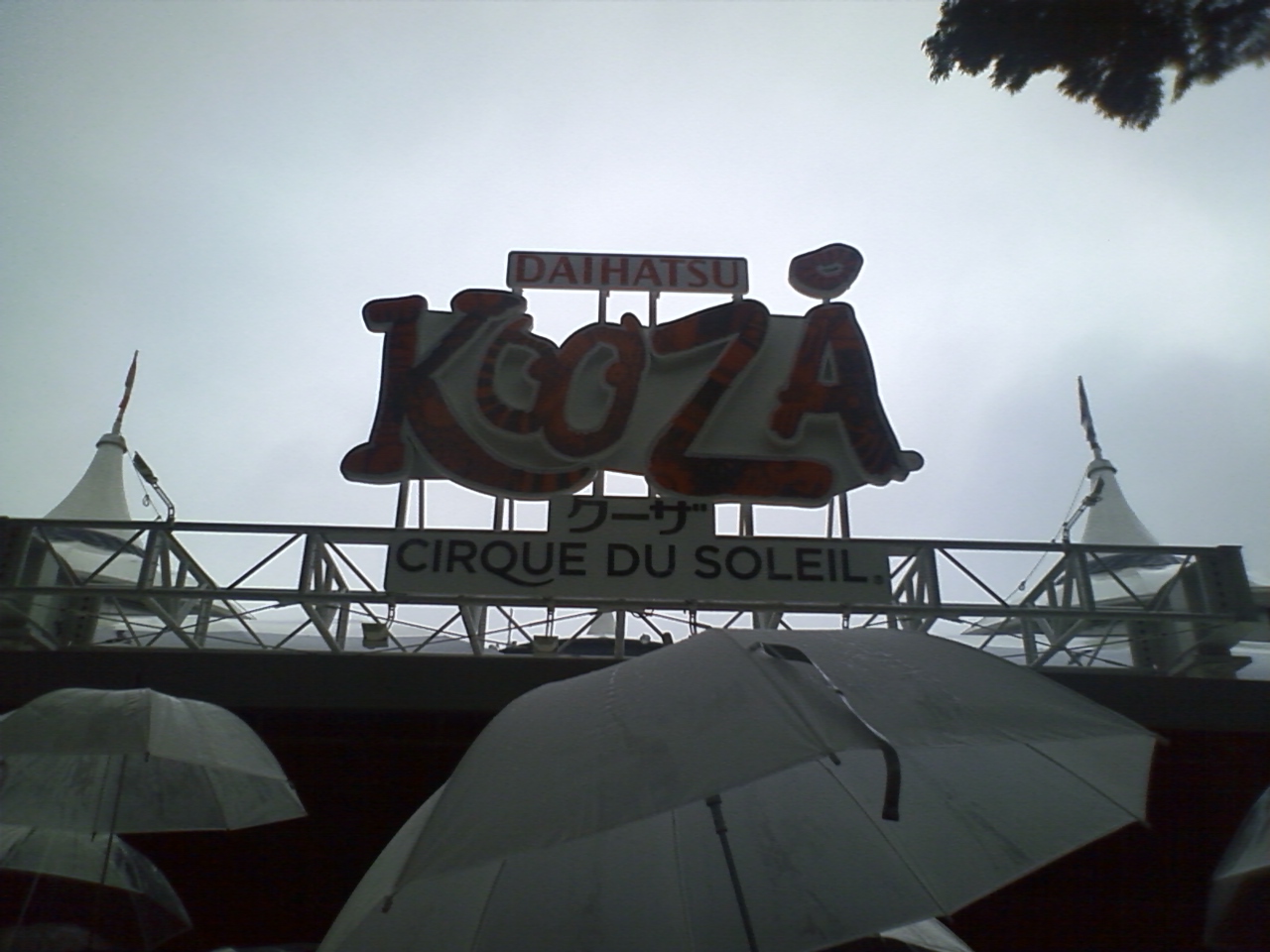 c0208836_1685297.jpg