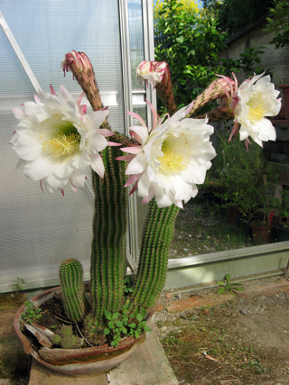 f0234936_5482396.jpg