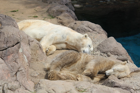 d0214638_22151060.jpg