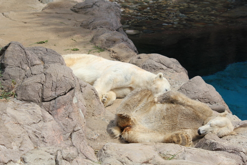 d0214638_22171823.jpg