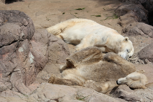 d0214638_22193550.jpg
