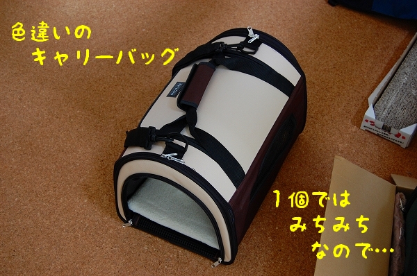 c0181639_121553.jpg