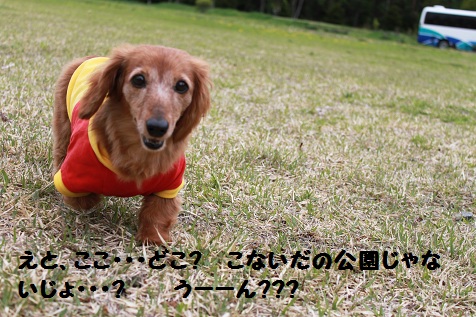 c0206342_1023315.jpg