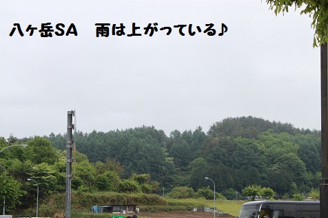 c0206342_9561421.jpg