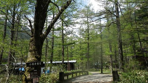 c0042847_14113271.jpg