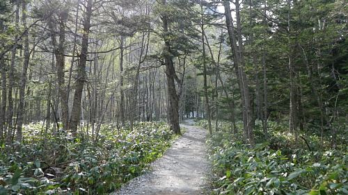 c0042847_14134262.jpg