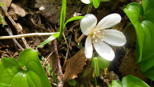 c0042847_147759.jpg