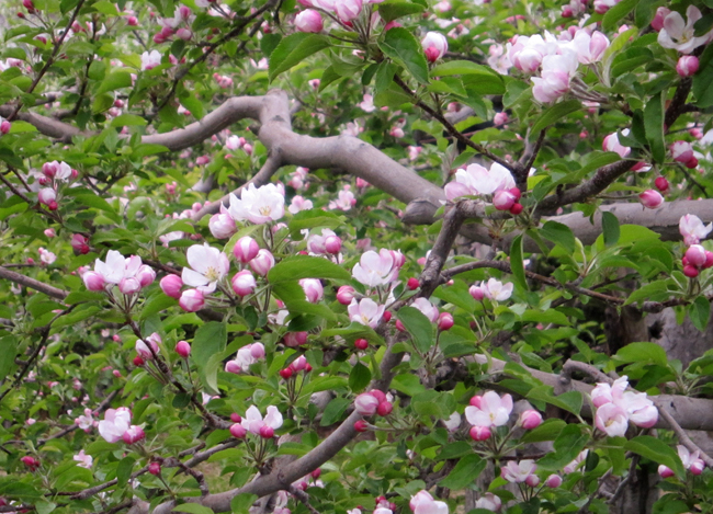 c0147548_21293811.jpg