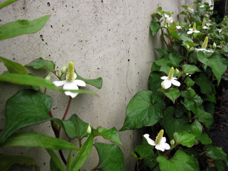 c0147952_014117.jpg