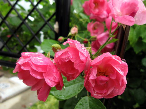 c0147952_23534228.jpg