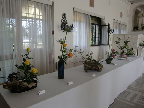 c0206352_54840.jpg