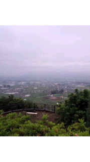 d0194759_15171752.jpg