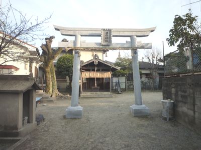 c0222861_1647297.jpg