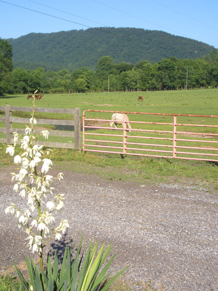 a0199262_01235100.jpg