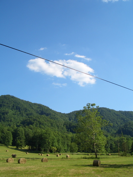 a0199262_0132317.jpg