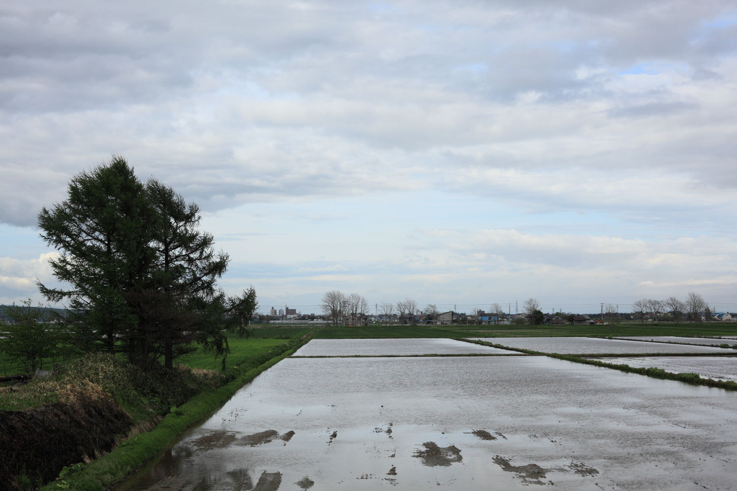 f0227662_2150401.jpg