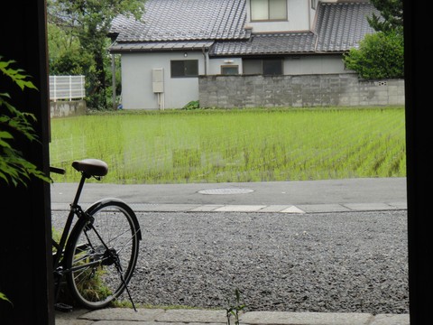 f0195963_11393835.jpg