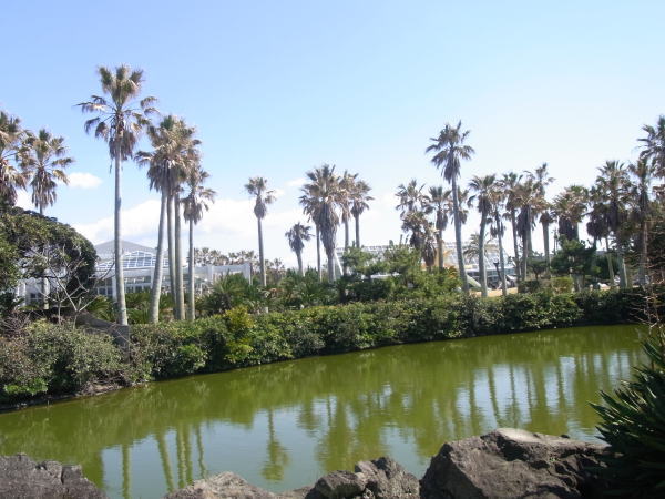 e0153367_1523643.jpg