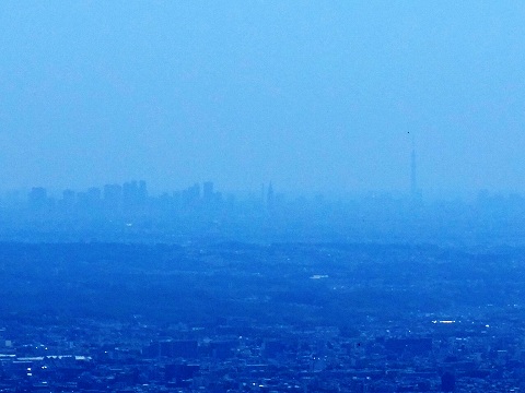 e0045768_2124479.jpg