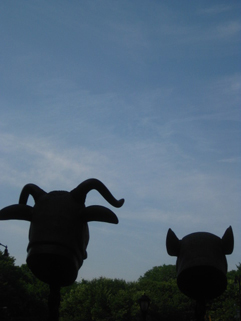 f0056476_4285119.jpg
