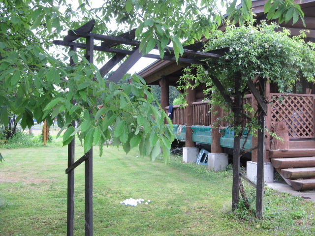 b0134278_1542729.jpg
