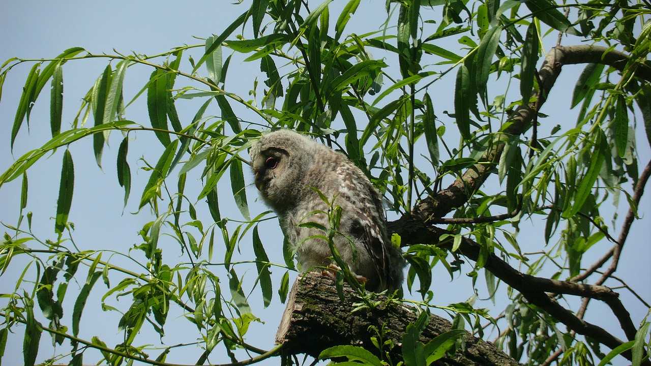 a0185081_12574759.jpg