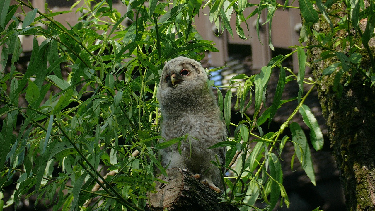a0185081_1259382.jpg