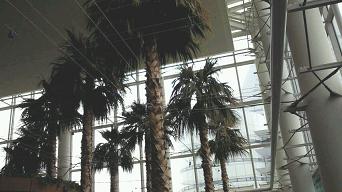 f0085881_18221680.jpg