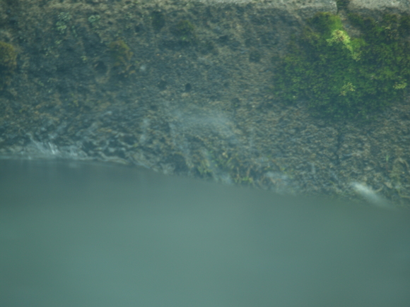 f0213796_15521420.jpg