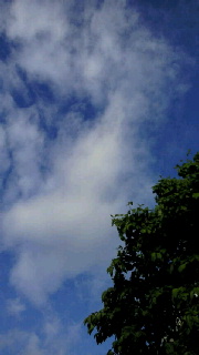 f0114900_17564752.jpg