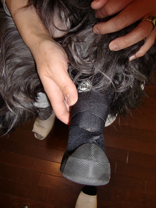 a0134004_2335983.jpg