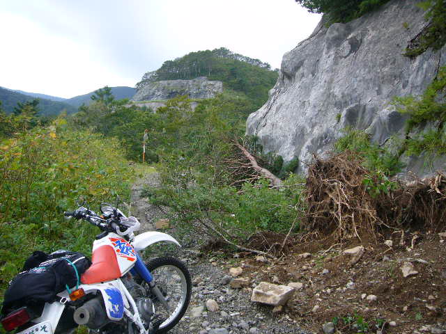 b0050305_2073234.jpg