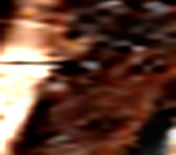 e0103408_105950.jpg