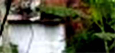 e0103408_17175463.jpg