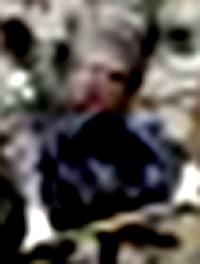 e0103408_17355024.jpg