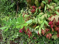 c0190010_20422881.jpg