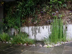 c0190010_2042458.jpg