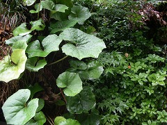 c0190010_2042564.jpg